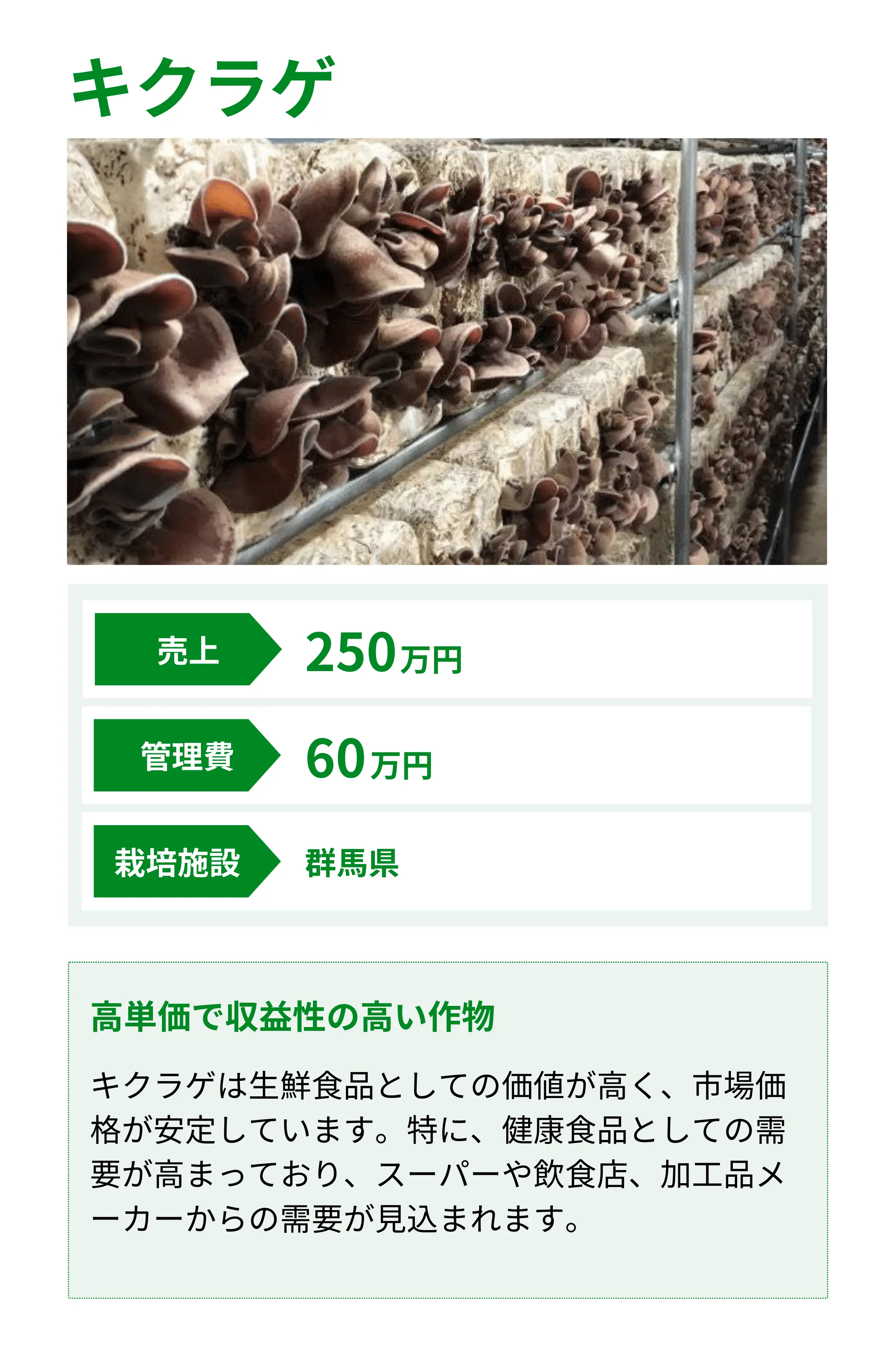 キクラゲ