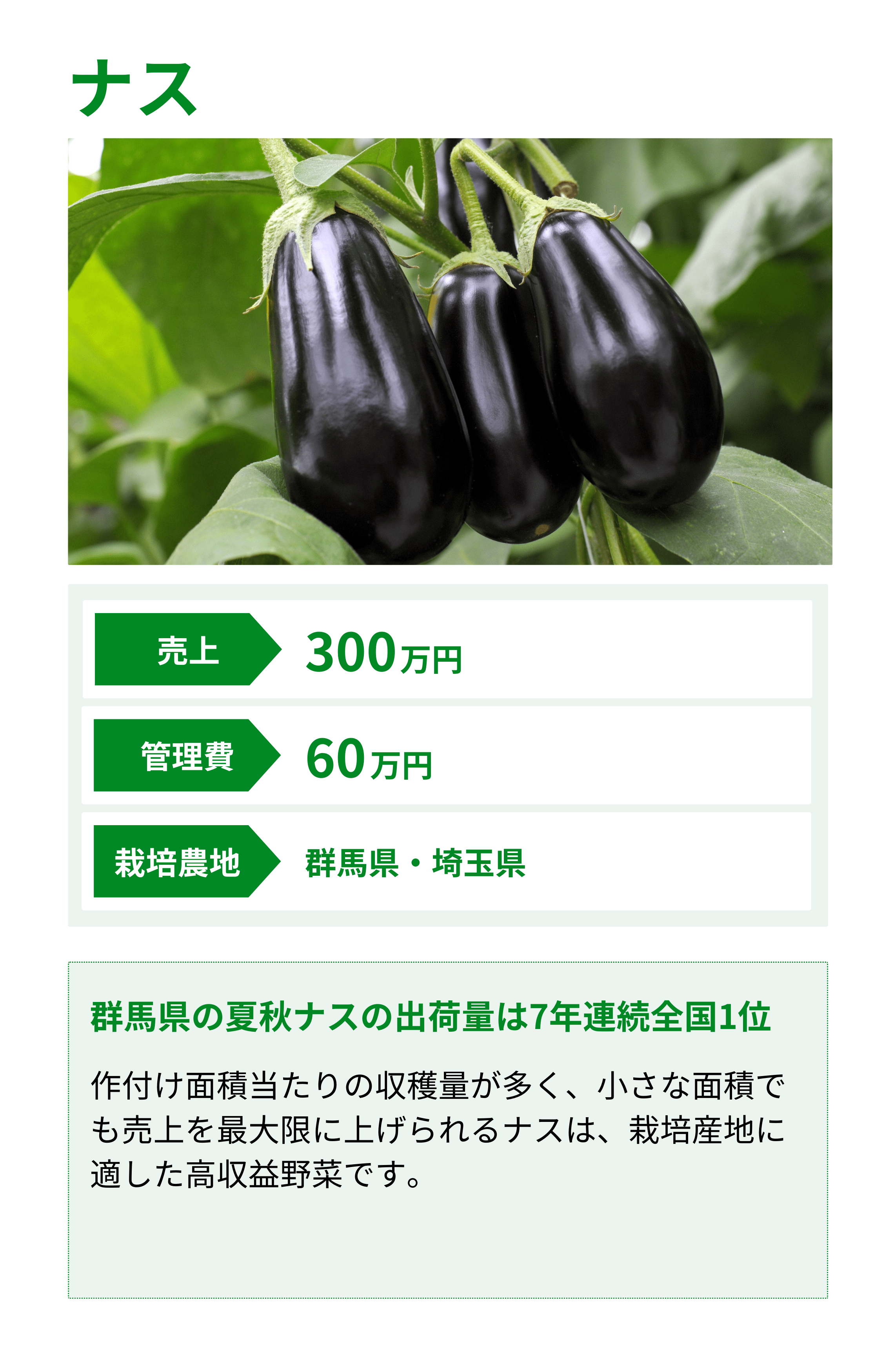 ナス