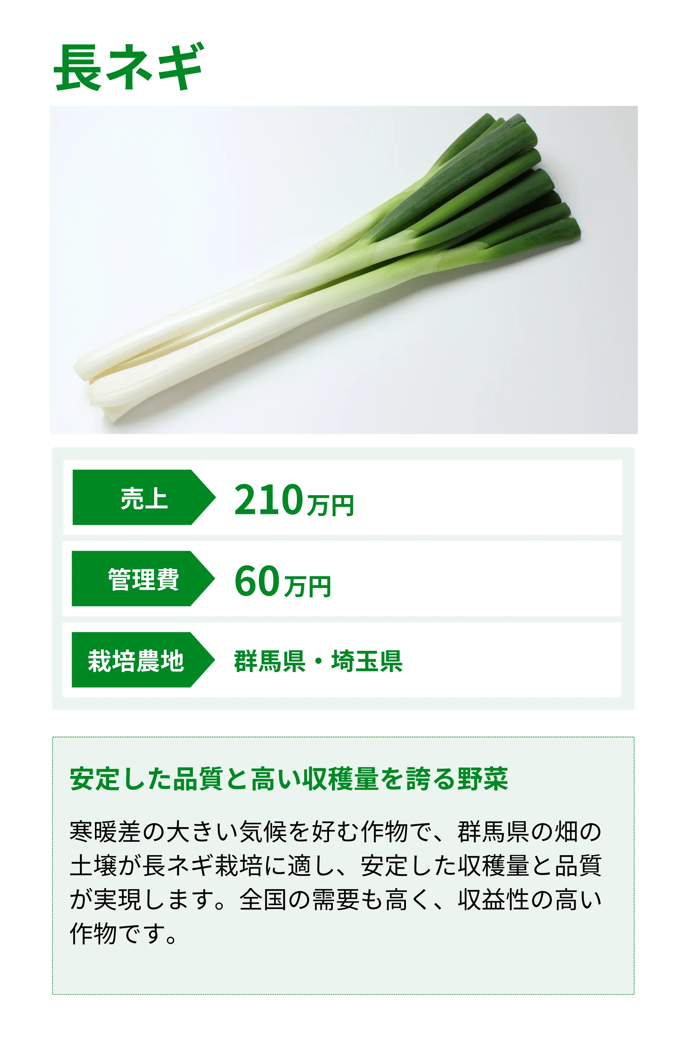 長ネギ